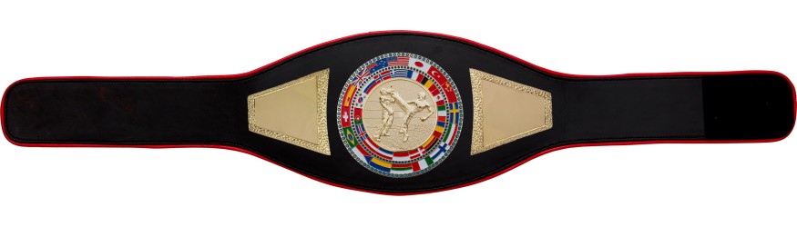 KICKBOXING CHAMPIONSHIP BELT-PROFLAG2/FLAG/G/KBOG - VARIETY OF LEATHER COLOURS AVAILABLE KICKBOXING CHAMPIONSHIP BELT-PROFLAG2/FLAG/G/KBOG - VARIETY OF LEATHER COLOURS AVAILABLE